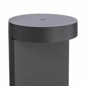 Best Borne lumineuse LED 99058 K3, graphite, fonte d'aluminium, verre Éclairage Extérieur Professionnel