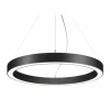 Clearance Biro Circle Ring10 direct DALI Ø 45cm noir 3000K Éclairage De Magasins