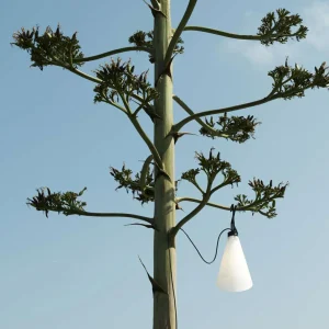 Hot FLOS Mayday Outdoor lampe universelle noire Éclairage Technique