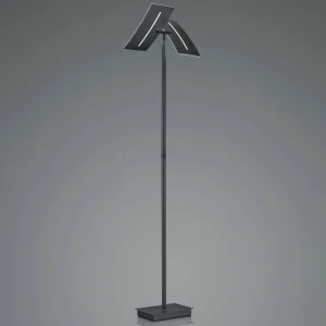 Best Lampe sur pied LED Dual CCT, intensité lumineuse variable, noir Éclairage De Bureau